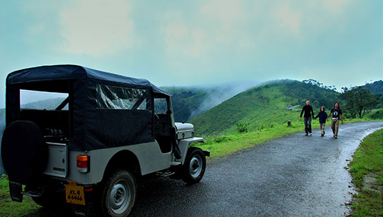 Jeep Safari in the mountains around Periyar National Park and Eravikulam